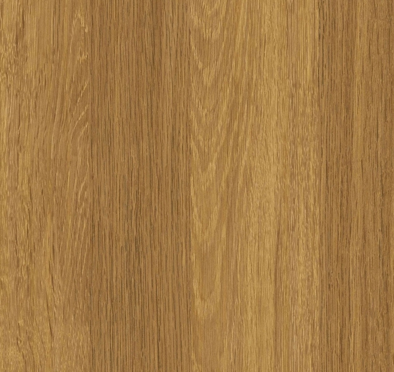 durmast oak wood texture