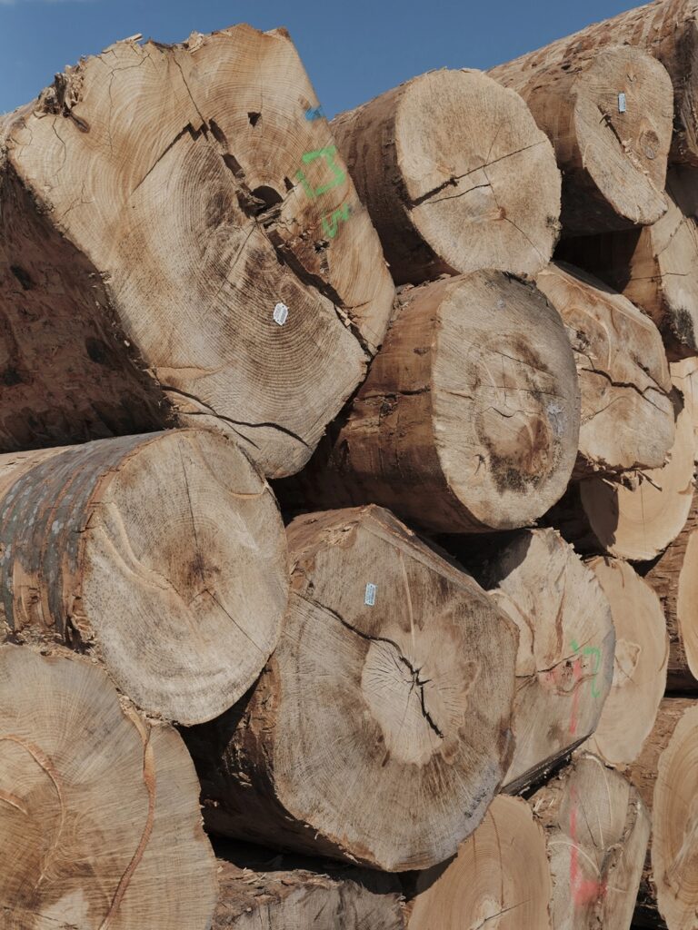 sawmill warehouse timber stack