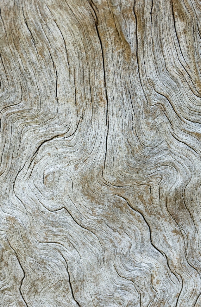 raw wood